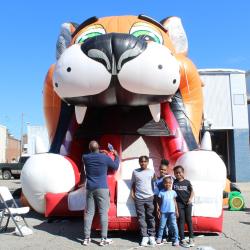 tiger bounce house