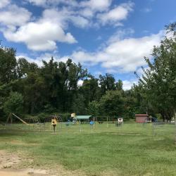 Woodland Playground